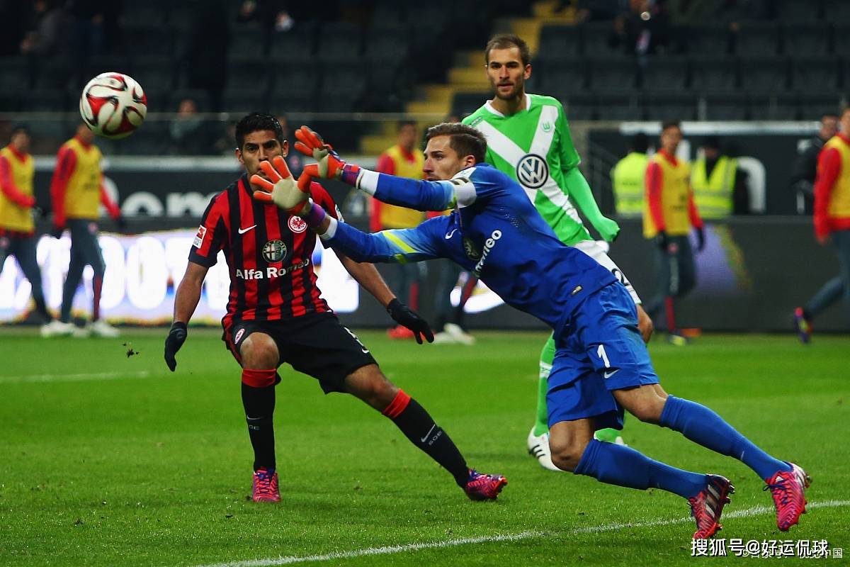 法兰克福冠军赛公布提名名单