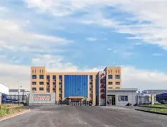 新疆胡杨队同巴西队的比赛回放